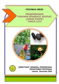 Image of Pengembangan Tanaman Penghasil Biofuel (Jarak Pagar)
